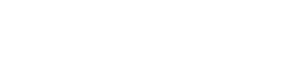 Appvagt_logo